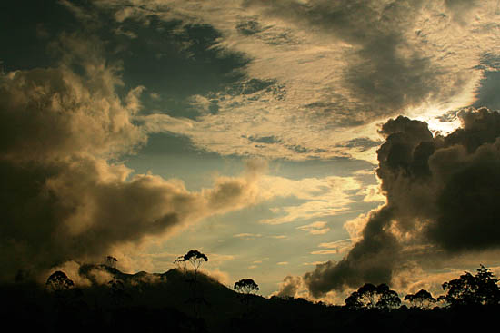 From the series Uplifting Colombia, 2012