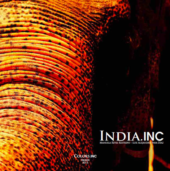 INDIA.INC, 2013